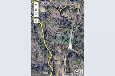 0 Live Oak Lane Road, Nevils, GA 31321 - Photo 3