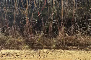 2457 Guy Weatherly Rd, Cadwell, GA 31009 - Photo 1