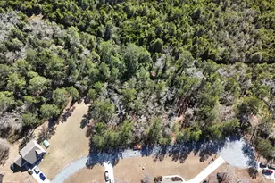 119 Hunters Chase Dr, Guyton, GA 31312 - Photo 1