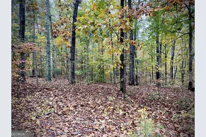 551 Harvey Fields Drive, Canton, GA 30114 - Photo 9