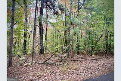 551 Harvey Fields Drive, Canton, GA 30114 - Photo 7