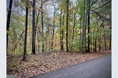 551 Harvey Fields Drive, Canton, GA 30114 - Photo 5