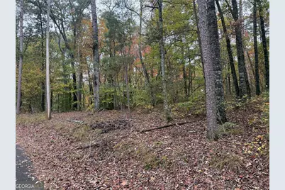 551 Harvey Fields Drive, Canton, GA 30114 - Photo 9