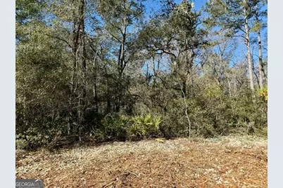 0 Live Oak Lane Road, Nevils, GA 31321 - Photo 1