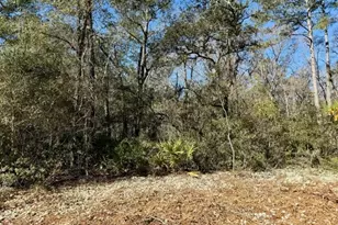 0 Live Oak Ln Rd, Nevils, GA 31321 - Photo 1