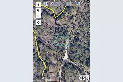 0 Live Oak Lane Road, Nevils, GA 31321 - Photo 3