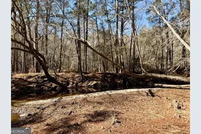 0 Live Oak Lane Road, Nevils, GA 31321 - Photo 5