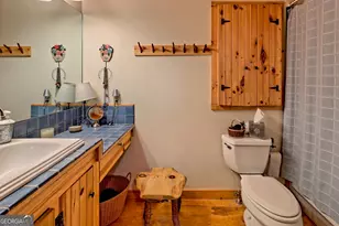 3019 Moccasin Creek Rd, Clarkesville, GA 30523 - Photo 19