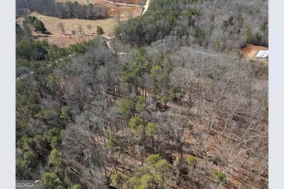 5419 Highway 320, Carnesville, GA 30521 - Photo 13