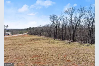 5419 Highway 320, Carnesville, GA 30521 - Photo 9