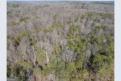 5419 Highway 320, Carnesville, GA 30521 - Photo 15