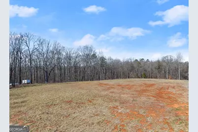 5419 Highway 320, Carnesville, GA 30521 - Photo 7