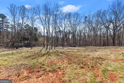 5419 Highway 320, Carnesville, GA 30521 - Photo 3