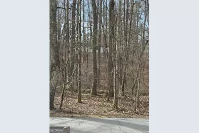 1436 Heritage Court, Villa Rica, GA 30180 - Photo 29