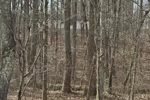 1436 Heritage Ct, Villa Rica, GA 30180 - Photo 29