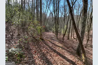 29 Robert Drive, Ellijay, GA 30536 - Photo 53