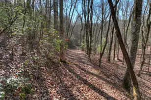 29 Robert Dr, Ellijay, GA 30536 - Photo 53