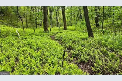 29 Robert Drive, Ellijay, GA 30536 - Photo 57