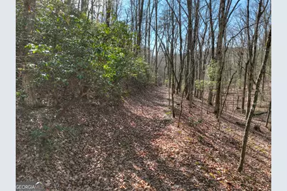 29 Robert Drive, Ellijay, GA 30536 - Photo 51