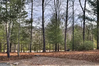 29 Robert Drive, Ellijay, GA 30536 - Photo 7