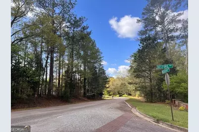 176 Belford Way, Jackson, GA 30233 - Photo 9