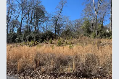 314 Duck Walk Way, Hogansville, GA 30230 - Photo 3