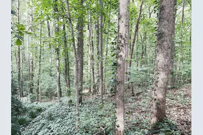 4049 Skyline Drive, Gainesville, GA 30501 - Photo 27