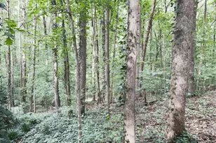 4049 Skyline Dr, Gainesville, GA 30501 - Photo 27