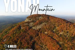 66 Village Ct, Cleveland, GA 30528 - Photo 31