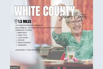 66 Village Court #12, Cleveland, GA 30528 - Photo 29