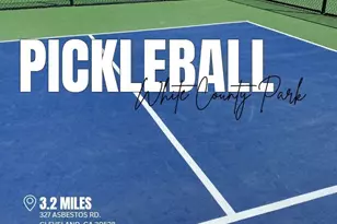 66 Village Ct, Cleveland, GA 30528 - Photo 27