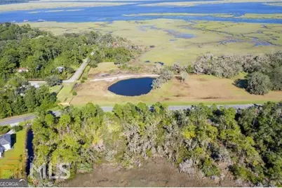3.09 Acres Marina Isle Drive #LOT 120, Woodbine, GA 31569 - Photo 5