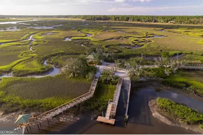 3.09 Acres Marina Isle Drive #LOT 120, Woodbine, GA 31569 - Photo 3