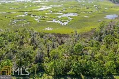 3.09 Acres Marina Isle Drive #LOT 120, Woodbine, GA 31569 - Photo 7