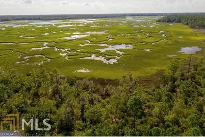 557 Marina Isle Drive #LOT 120, Woodbine, GA 31569 - Photo 5