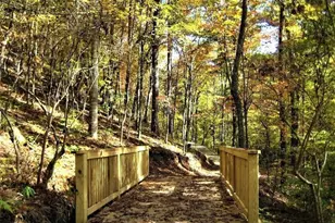 169 Waterview Ct, Waleska, GA 30183 - Photo 31