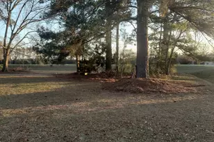 437 Burkhalter Cir, Claxton, GA 30417 - Photo 23