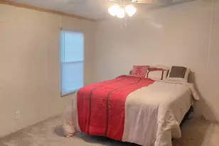 437 Burkhalter Cir, Claxton, GA 30417 - Photo 9