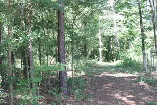 3854 Buckhead Rd, Madison, GA 30650 - Photo 15