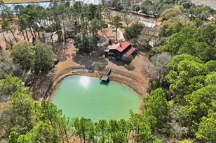 897 Wiley Branch Rd, Tifton, GA 31794 - Photo 53