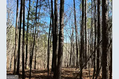 3472 Prior Station Road, Cedartown, GA 30125 - Photo 63