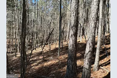 3472 Prior Station Road, Cedartown, GA 30125 - Photo 65