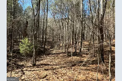 3472 Prior Station Road, Cedartown, GA 30125 - Photo 57