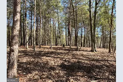 3472 Prior Station Road, Cedartown, GA 30125 - Photo 37