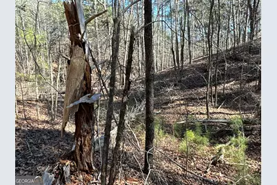 3472 Prior Station Road, Cedartown, GA 30125 - Photo 23