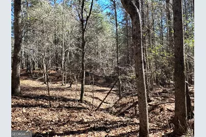 3472 Prior Station Road, Cedartown, GA 30125 - Photo 49