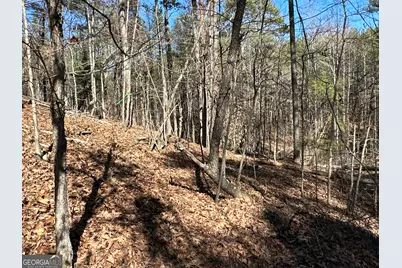 3472 Prior Station Road, Cedartown, GA 30125 - Photo 21