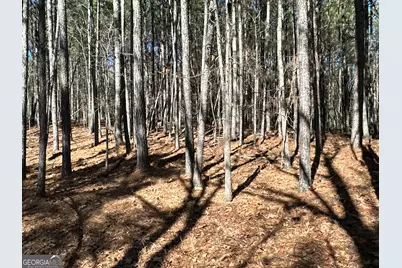 3472 Prior Station Road, Cedartown, GA 30125 - Photo 39