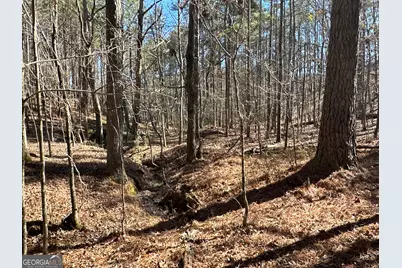 3472 Prior Station Road, Cedartown, GA 30125 - Photo 15