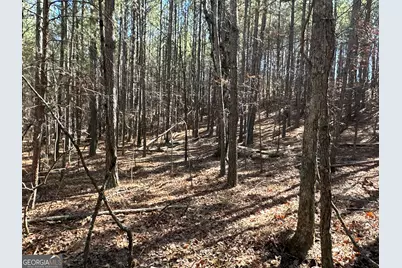 3472 Prior Station Road, Cedartown, GA 30125 - Photo 45